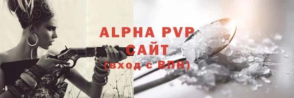 прущие грибы Анжеро-Судженск