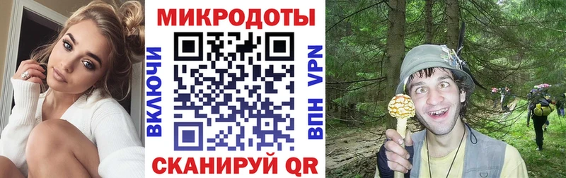 Галлюциногенные грибы прущие грибы  Верхний Тагил 